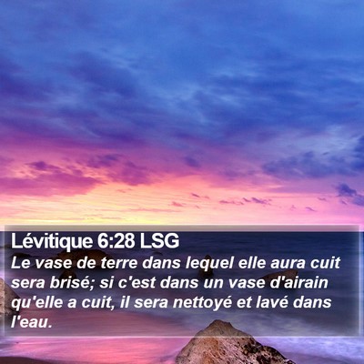 Lévitique 6:28 LSG Bible Verse Image