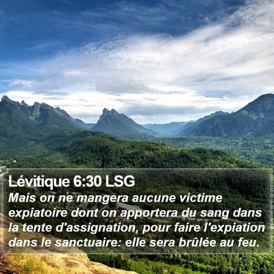 Lévitique 6:30 LSG Bible Verse Image
