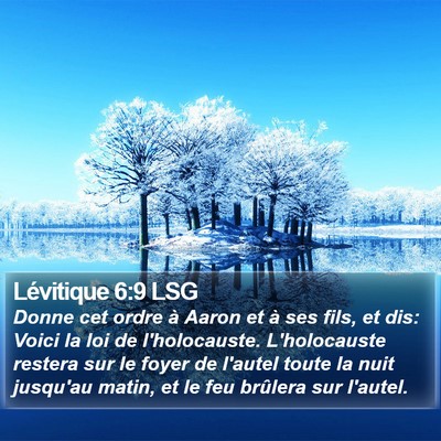 Lévitique 6:9 LSG Bible Verse Image
