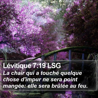 Lévitique 7:19 LSG Bible Verse Image