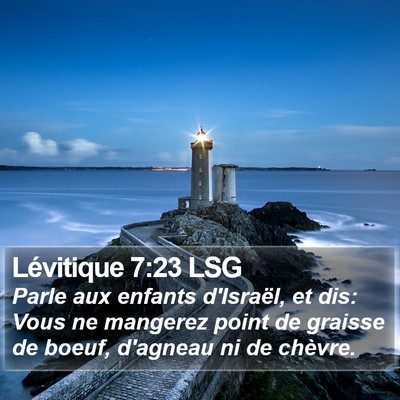 Lévitique 7:23 LSG Bible Verse Image