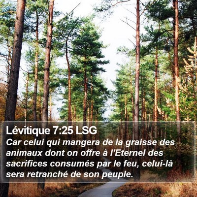 Lévitique 7:25 LSG Bible Verse Image