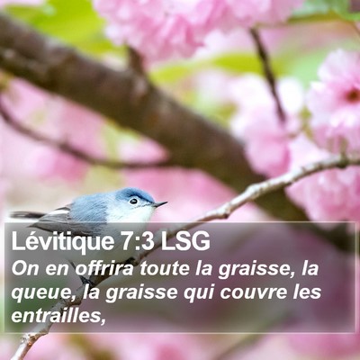 Lévitique 7:3 LSG Bible Verse Image
