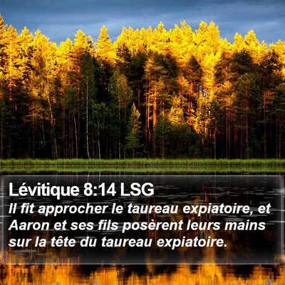 Lévitique 8:14 LSG Bible Verse Image