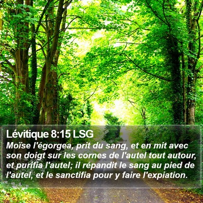 Lévitique 8:15 LSG Bible Verse Image