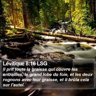 Lévitique 8:16 LSG Bible Verse Image