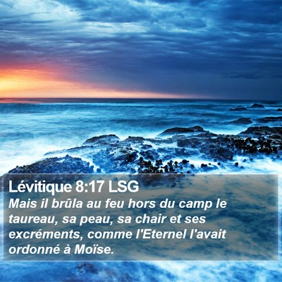 Lévitique 8:17 LSG Bible Verse Image