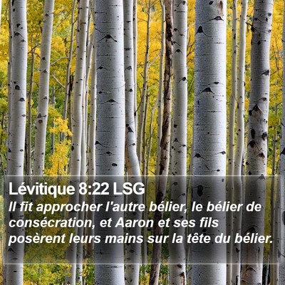 Lévitique 8:22 LSG Bible Verse Image
