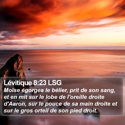 Lévitique 8:23 LSG Bible Verse Image