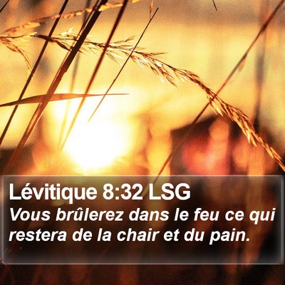 Lévitique 8:32 LSG Bible Verse Image