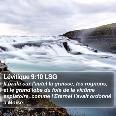 Lévitique 9:10 LSG Bible Verse Image