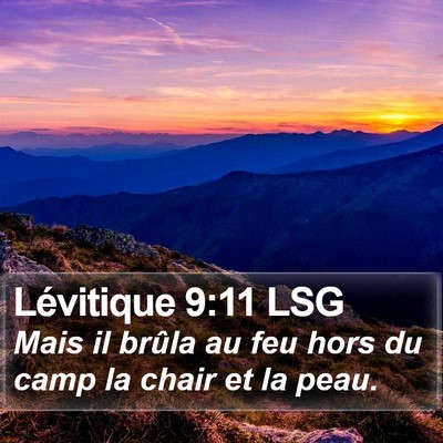 Lévitique 9:11 LSG Bible Verse Image
