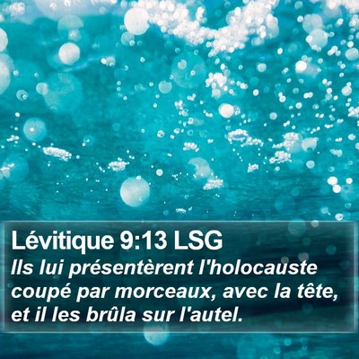 Lévitique 9:13 LSG Bible Verse Image