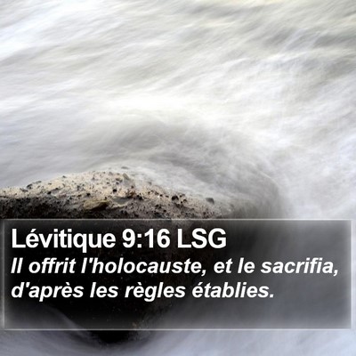 Lévitique 9:16 LSG Bible Verse Image