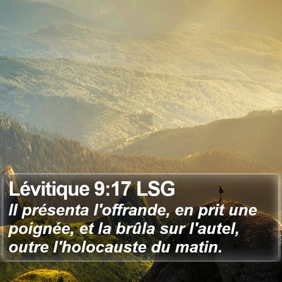 Lévitique 9:17 LSG Bible Verse Image