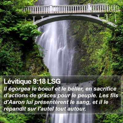 Lévitique 9:18 LSG Bible Verse Image