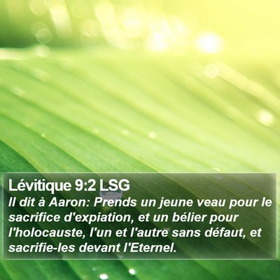 Lévitique 9:2 LSG Bible Verse Image