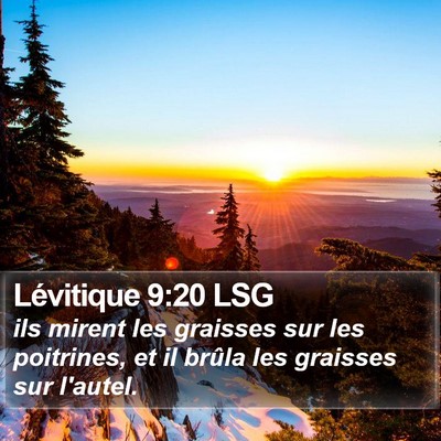 Lévitique 9:20 LSG Bible Verse Image