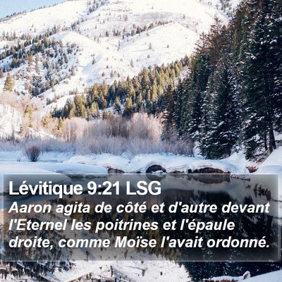 Lévitique 9:21 LSG Bible Verse Image