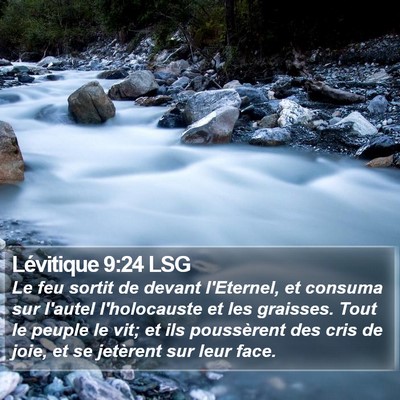 Lévitique 9:24 LSG Bible Verse Image