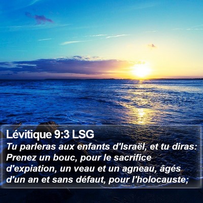 Lévitique 9:3 LSG Bible Verse Image