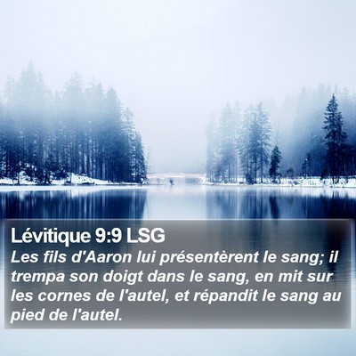 Lévitique 9:9 LSG Bible Verse Image
