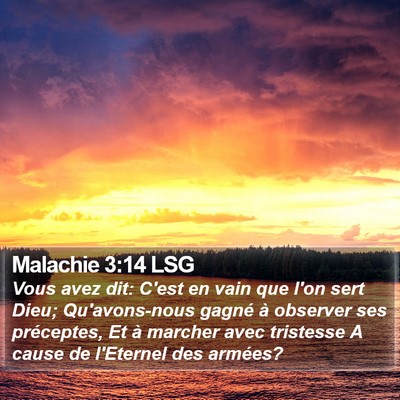 Malachie 3:14 LSG Bible Verse Image
