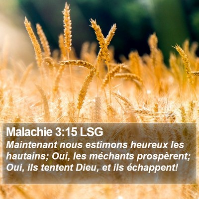 Malachie 3:15 LSG Bible Verse Image