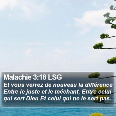 Malachie 3:18 LSG Bible Verse Image