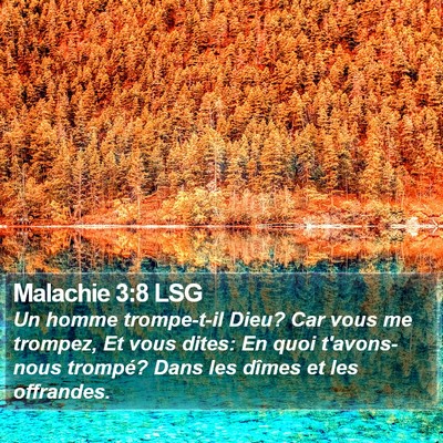Malachie 3:8 LSG Bible Verse Image