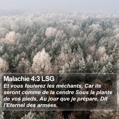 Malachie 4:3 LSG Bible Verse Image