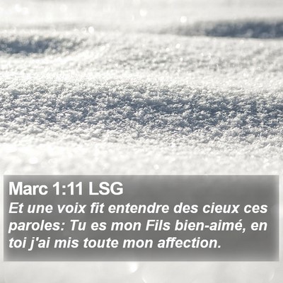 Marc 1:11 LSG Bible Verse Image