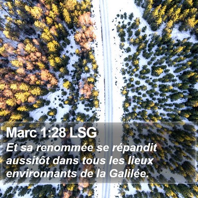 Marc 1:28 LSG Bible Verse Image