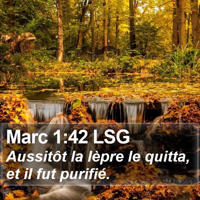 Marc 1:42 LSG Bible Verse Image