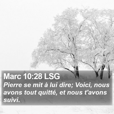 Marc 10:28 LSG Bible Verse Image