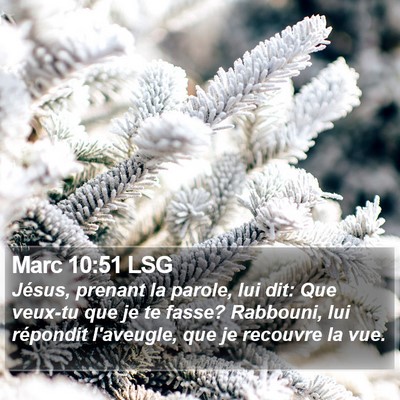 Marc 10:51 LSG Bible Verse Image