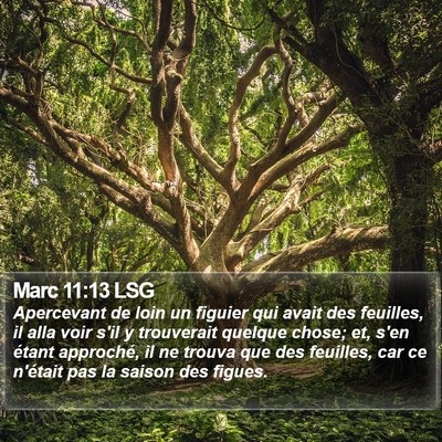 Marc 11:13 LSG Bible Verse Image
