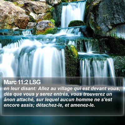 Marc 11:2 LSG Bible Verse Image