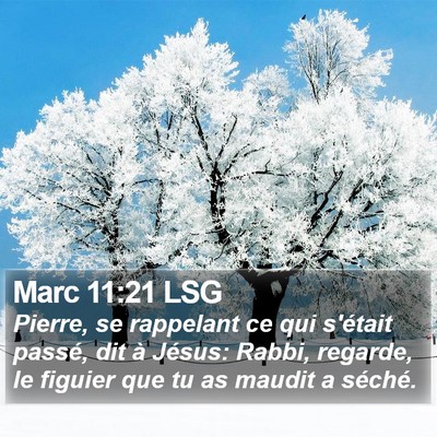 Marc 11:21 LSG Bible Verse Image
