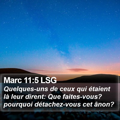 Marc 11:5 LSG Bible Verse Image
