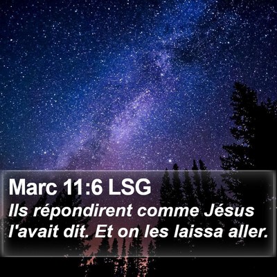 Marc 11:6 LSG Bible Verse Image