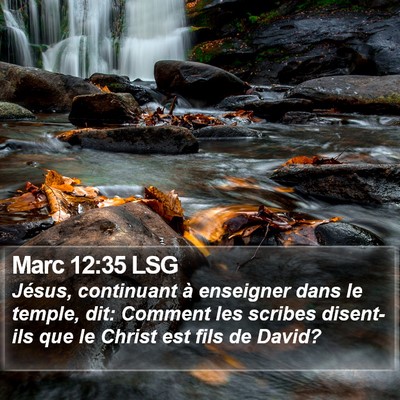 Marc 12:35 LSG Bible Verse Image