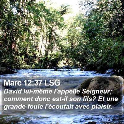 Marc 12:37 LSG Bible Verse Image
