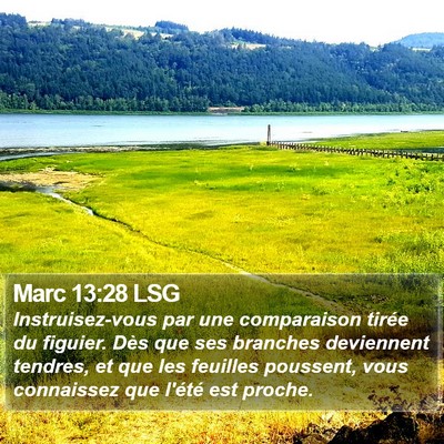 Marc 13:28 LSG Bible Verse Image