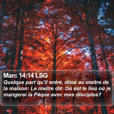 Marc 14:14 LSG Bible Verse Image