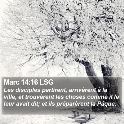 Marc 14:16 LSG Bible Verse Image