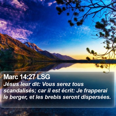 Marc 14:27 LSG Bible Verse Image