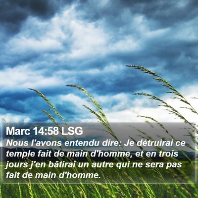 Marc 14:58 LSG Bible Verse Image