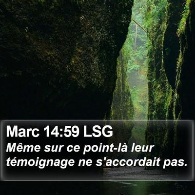 Marc 14:59 LSG Bible Verse Image