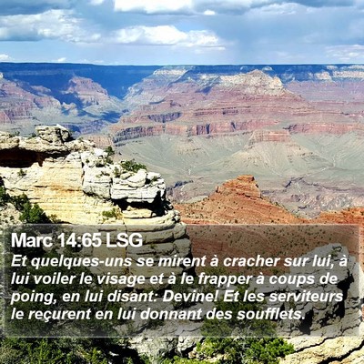 Marc 14:65 LSG Bible Verse Image